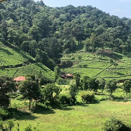 Janiro Tea Trees Villas Vythiri Exteriér fotografie
