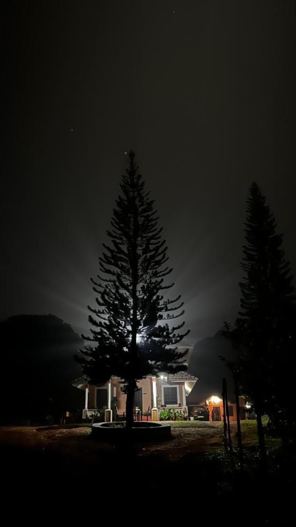 Janiro Tea Trees Villas Vythiri Exteriér fotografie