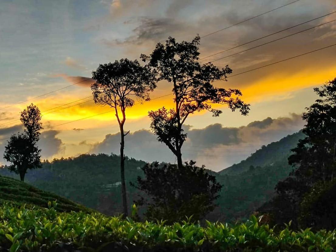 Janiro Tea Trees Villas Vythiri Exteriér fotografie