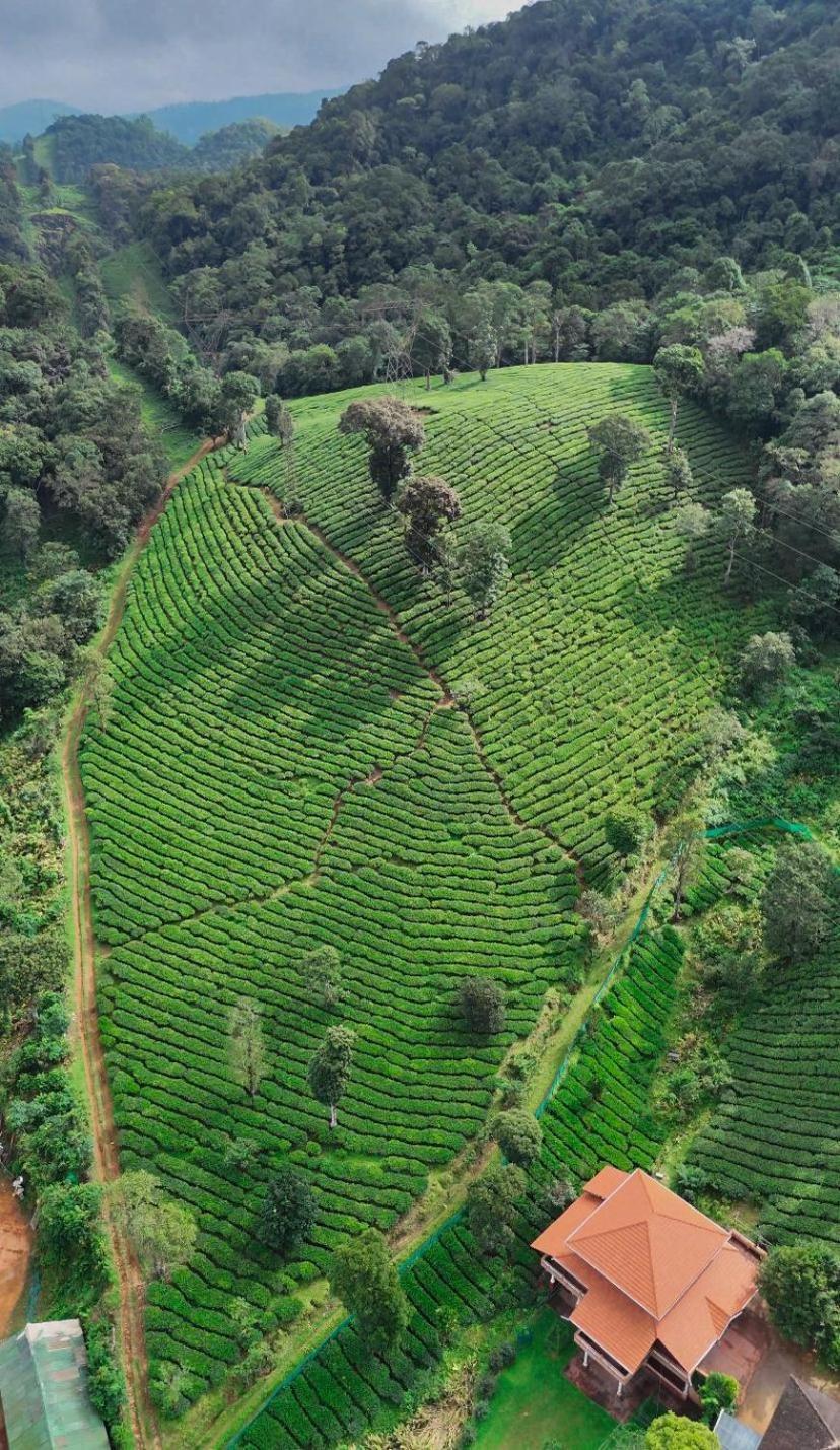 Janiro Tea Trees Villas Vythiri Exteriér fotografie