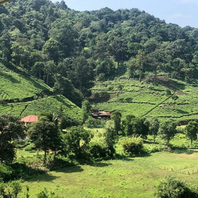 Janiro Tea Trees Villas Vythiri Exteriér fotografie